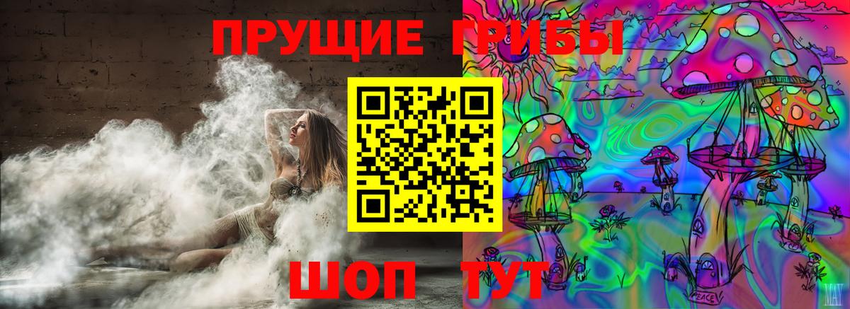 Краснодар  Галлюциногенные грибы Psilocybine cubensis  Вход с VPN 